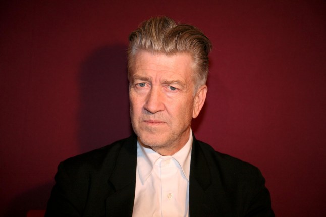 Mandatory Credit: Photo by Karl Schoendorfer/REX/Shutterstock (713309e) David Lynch David Lynch at the Imperial Hotel, Vienna, Austria - 11 Nov 2007