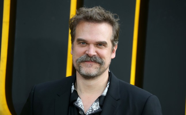 David Harbour stood at a premier, black suit jacket, mustache.