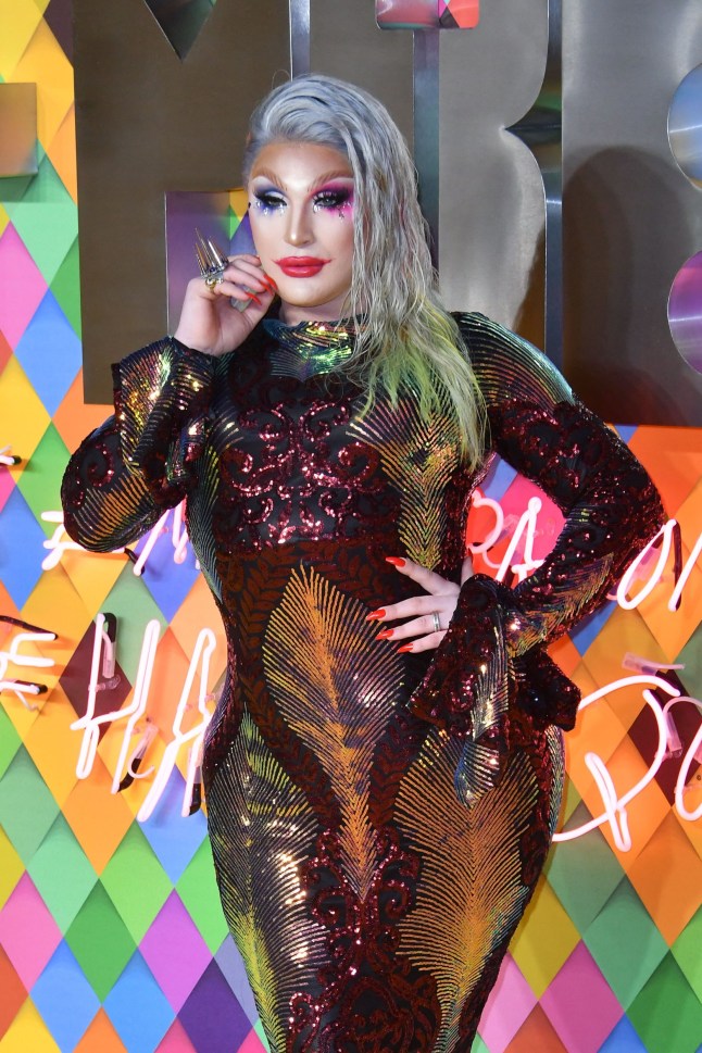 Mandatory Credit: Photo by Nils Jorgensen/REX/Shutterstock (10542815bx) The Vivienne 'Birds of Prey' film premiere, London, UK - 29 Jan 2020 The Vivienne attends Birds of Prey premiere of adaptation of DC comic about two female superheroes, at Odeon BFI Imax