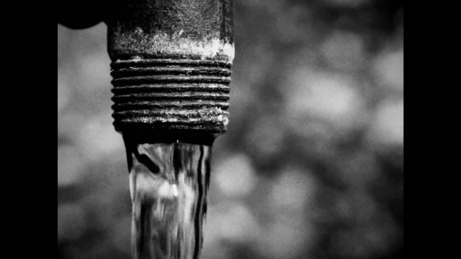 Horses screenshot of a water pipe