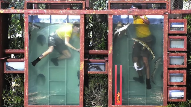 A still from I'm A Celebrity All Stars