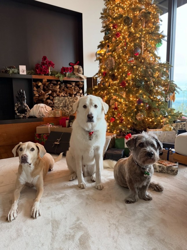 Lily Allen leads celebrities splashing the cash in flirty Christmas Day celebrations INSTAGRAM