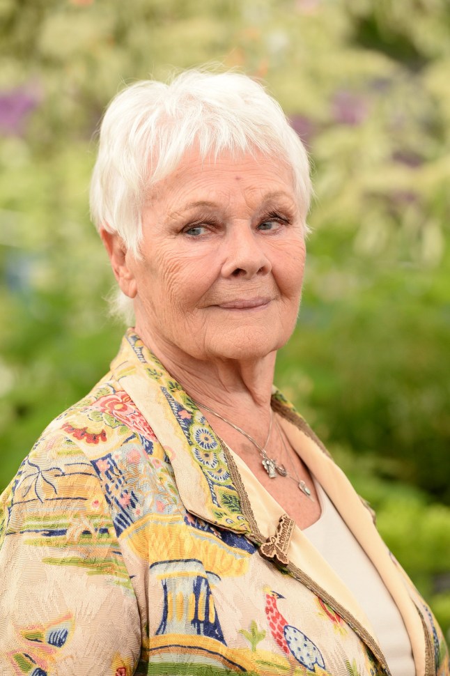 LONDON, ENGLAND - MAY 20: Dame Judi Dench attends the RHS Chelsea Flower Show 2019 press day at Chelsea Flower Show on May 20, 2019 in London, England. (Photo by Jeff Spicer/Getty Images)